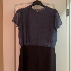 Loft Navy and Black Polka Dot dress